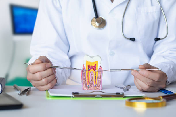 Best Emergency TMJ Treatment in Oriole Beach, FL